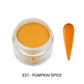 E Acrylic & Dip Powder - #37 Pumpkin Spice