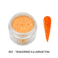E Acrylic & Dip Powder - #67 Tangerine Illumination